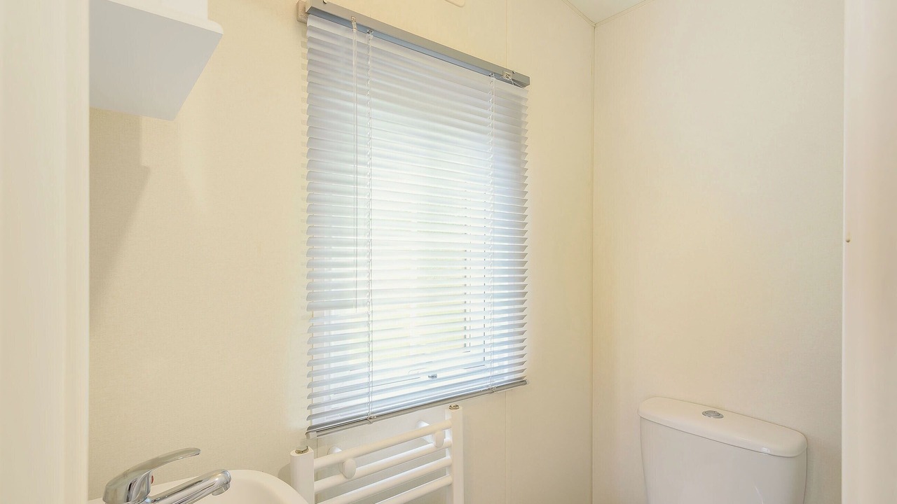 Photo of Others in Dollar