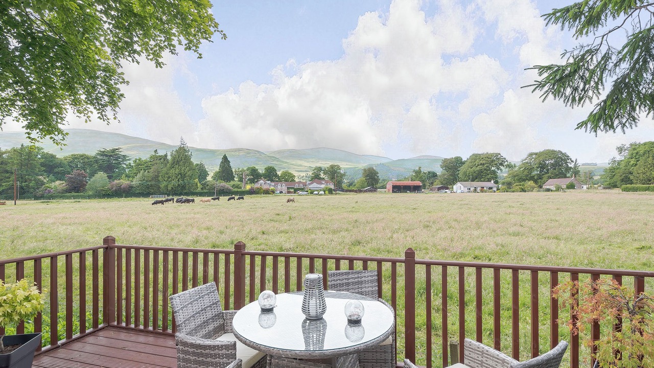 Photo of Others in Dollar