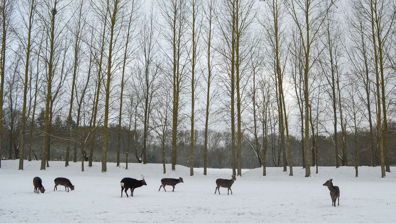 Photo of Others in Abbess Roding