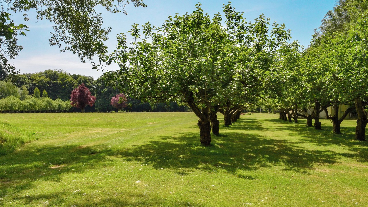 Photo of Outdoor in Abbess Roding