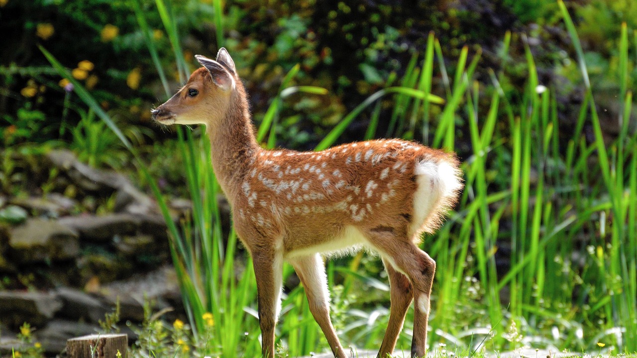 Photo of Others in Abbess Roding