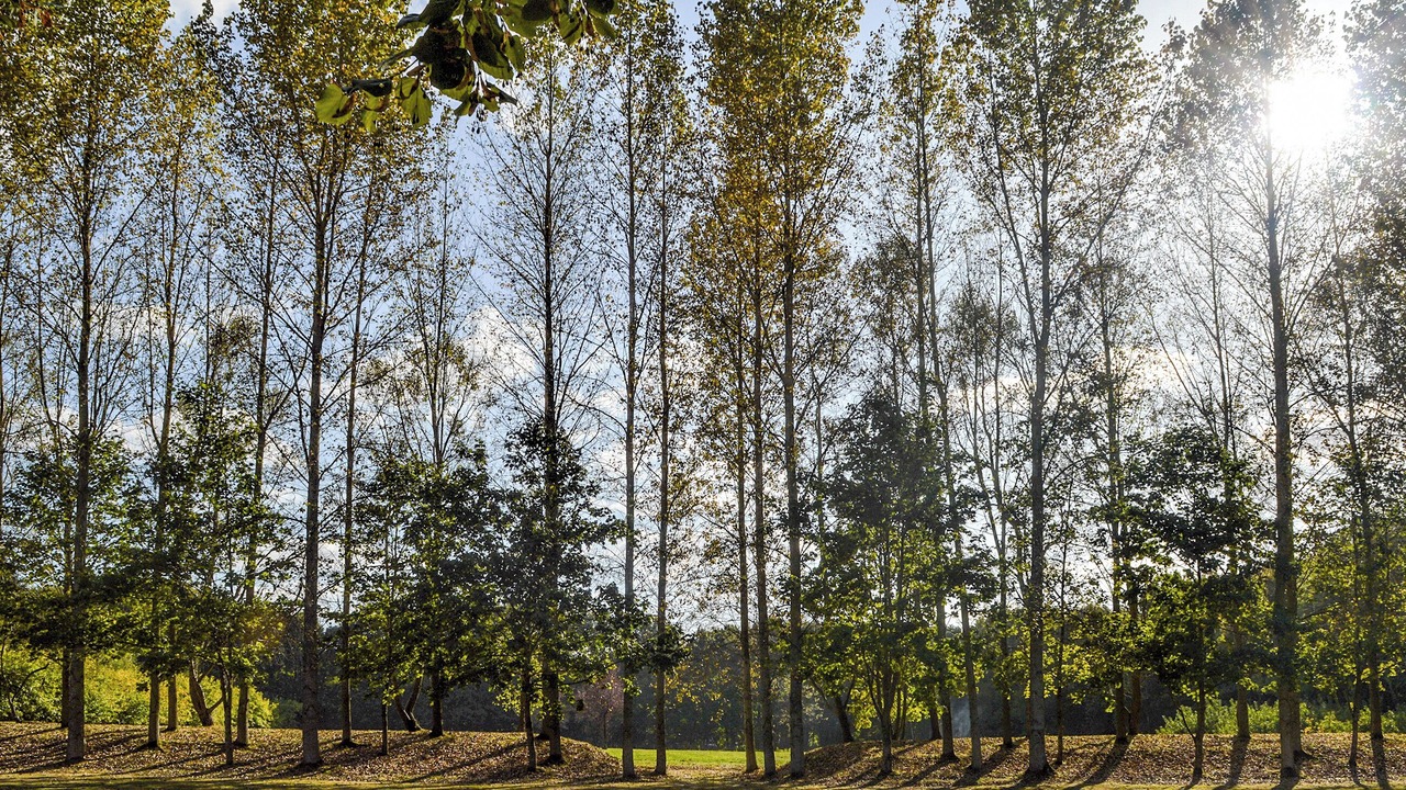 Photo of Others in Abbess Roding