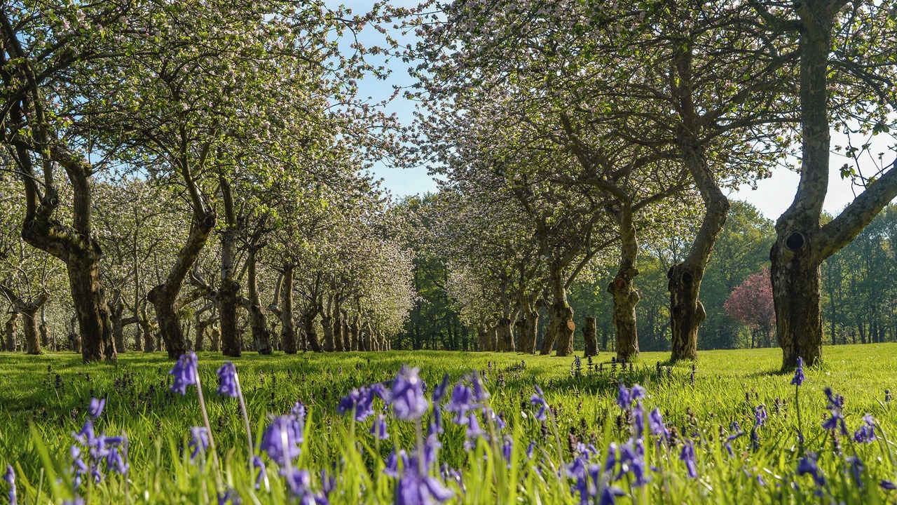 Photo of Others in Abbess Roding