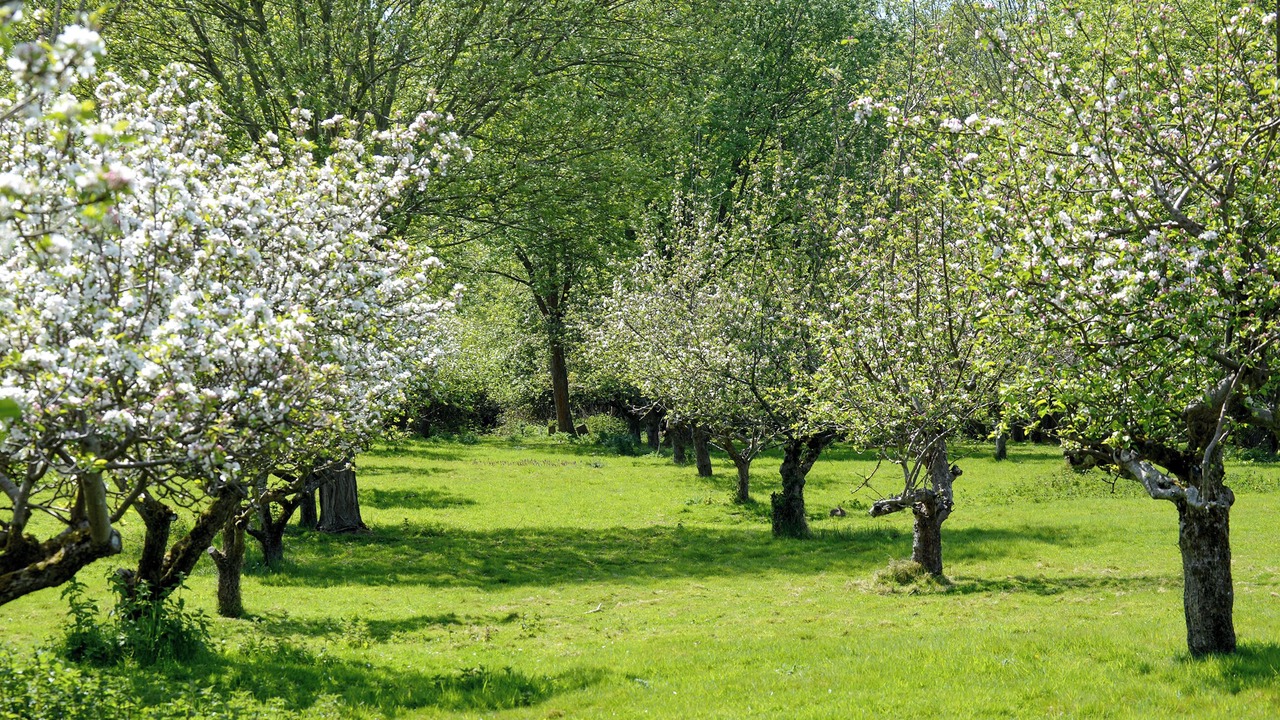 Photo of Others in Abbess Roding