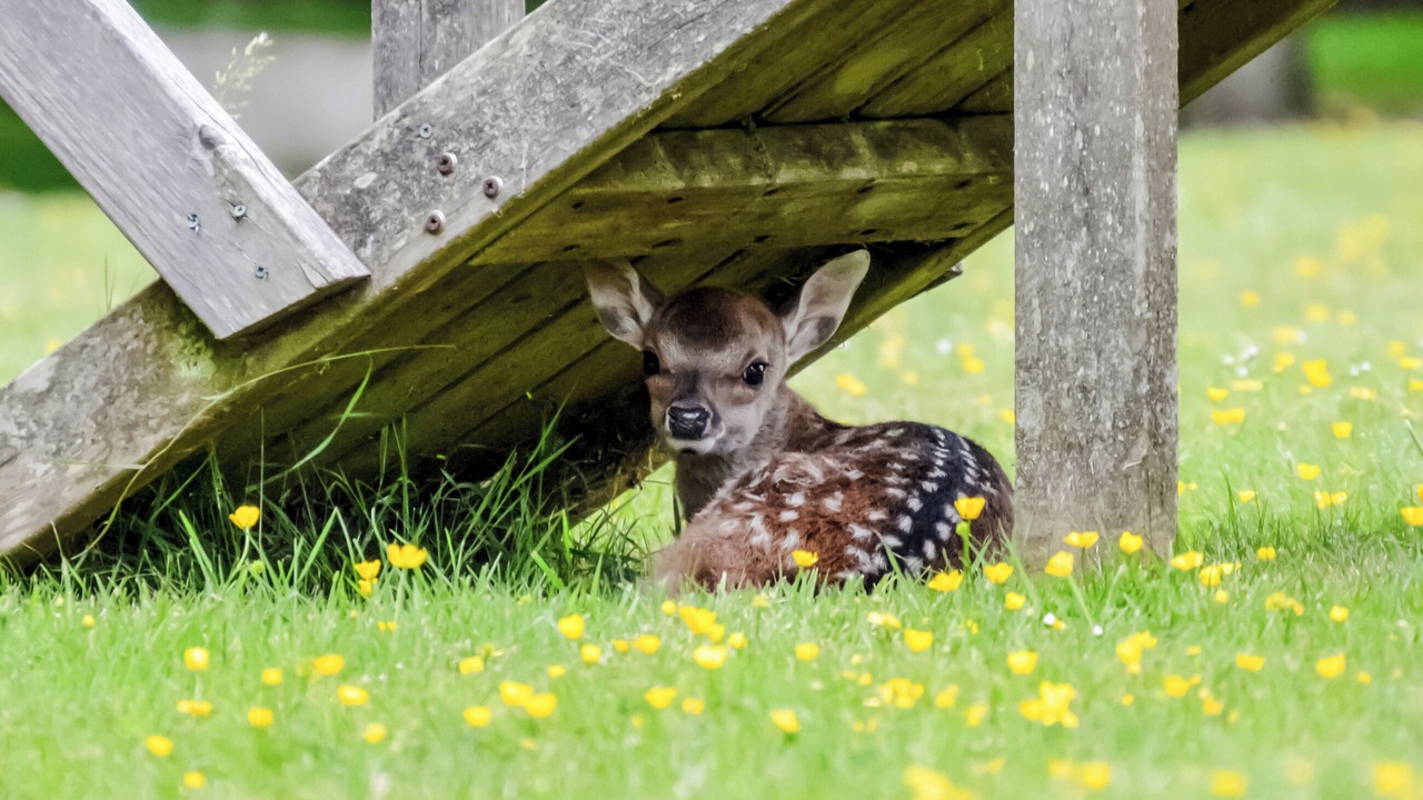 Photo of Others in Abbess Roding