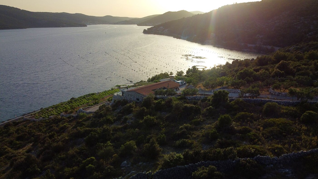 Photo of Outdoor in Seget