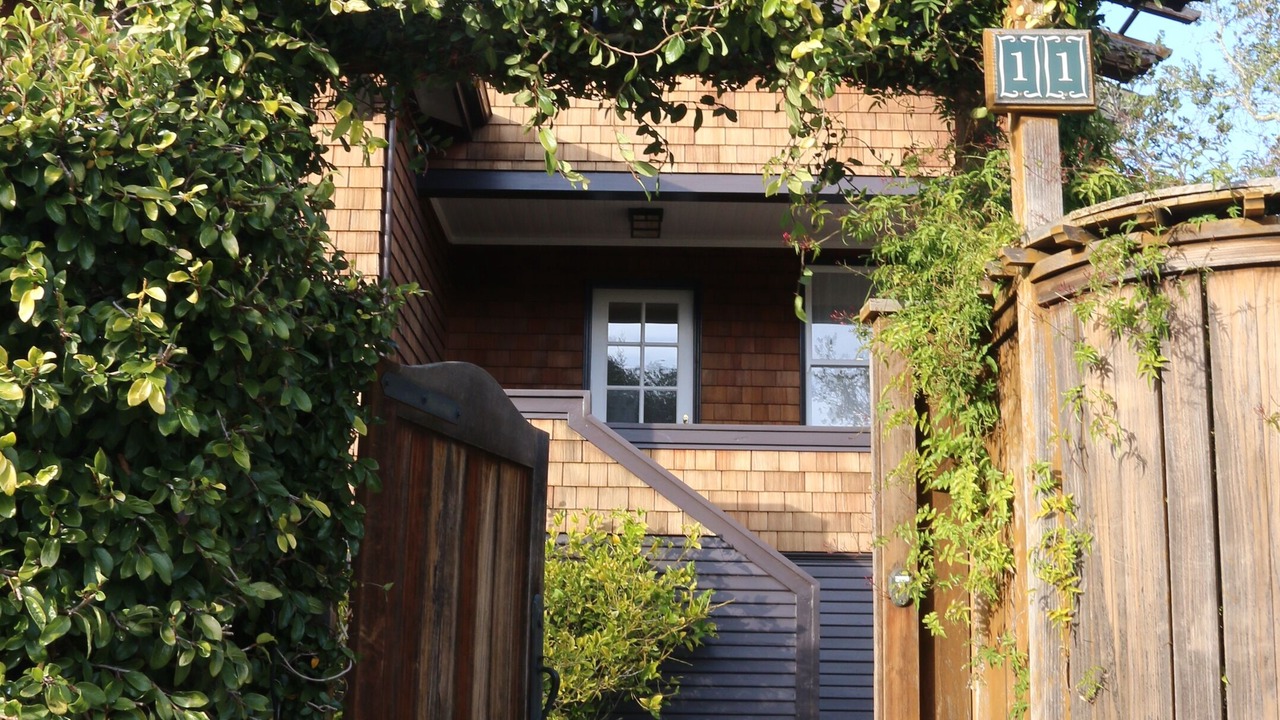 Photo of Outdoor in Mill Valley