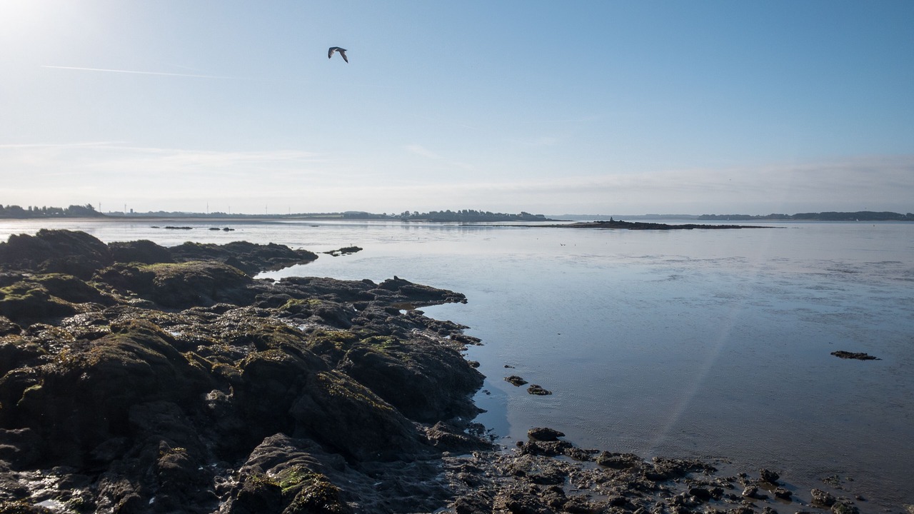 Photo of Others in Ambon