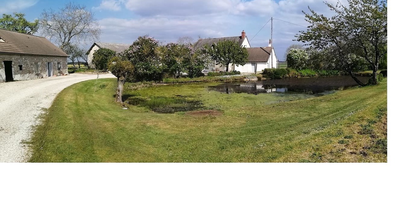 Photo of Outdoor in Azay-le-Ferron