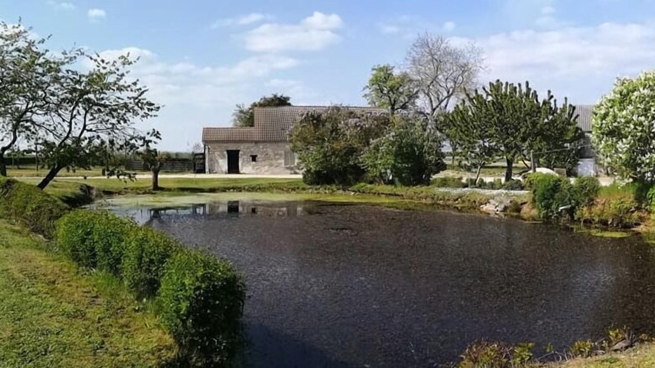 Photo of Outdoor in Azay-le-Ferron