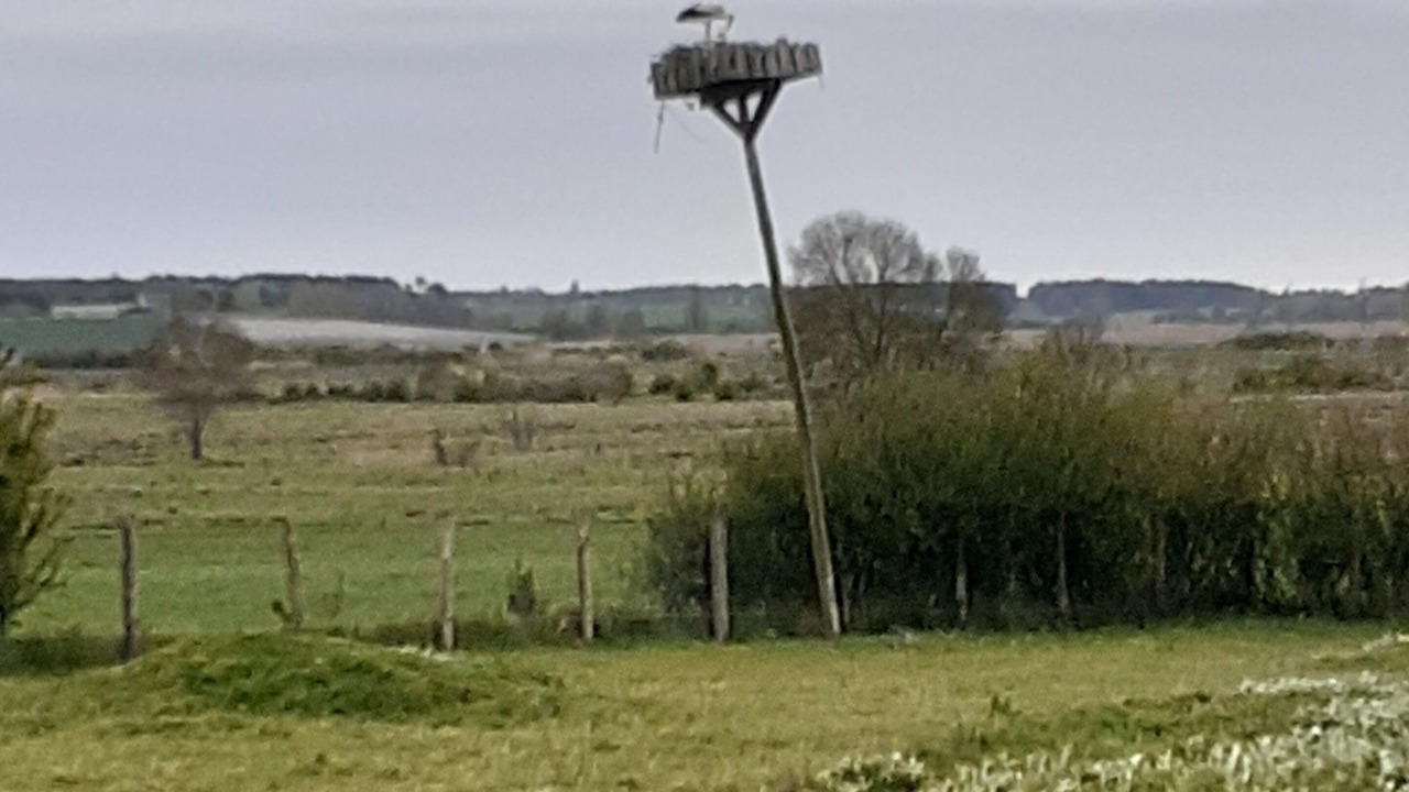 Photo of Others in Etaules