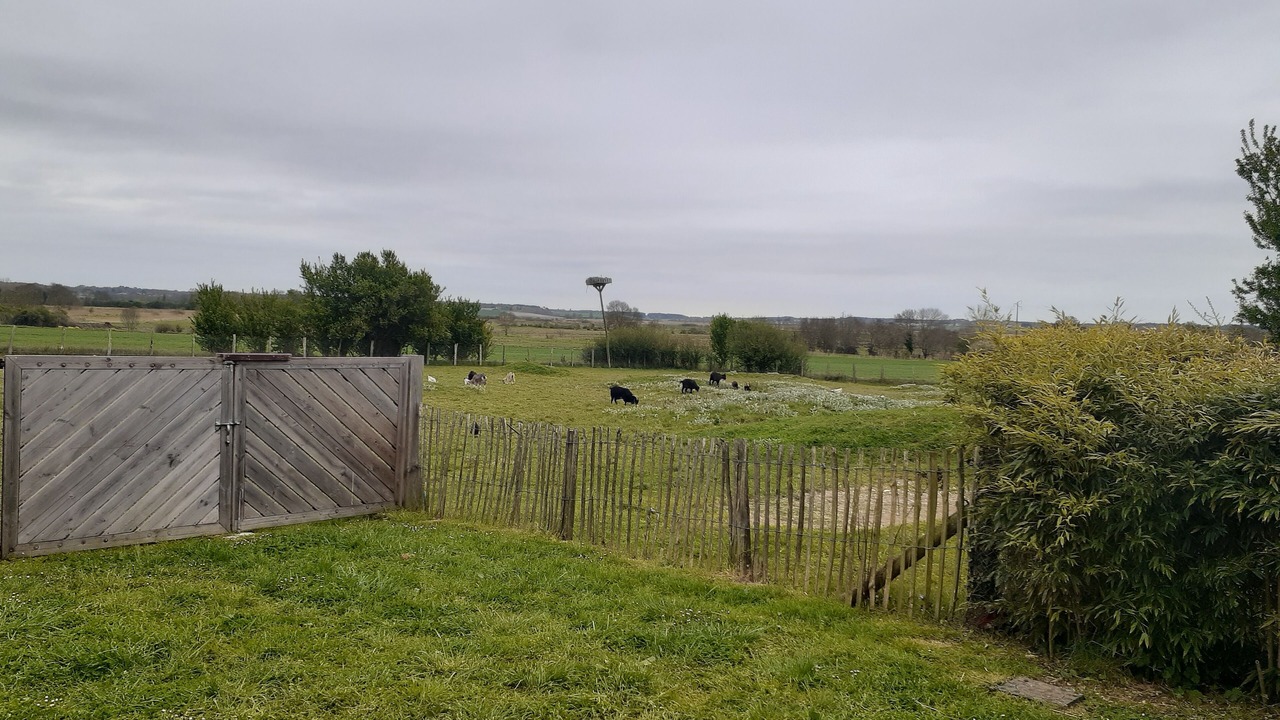 Photo of Outdoor in Etaules