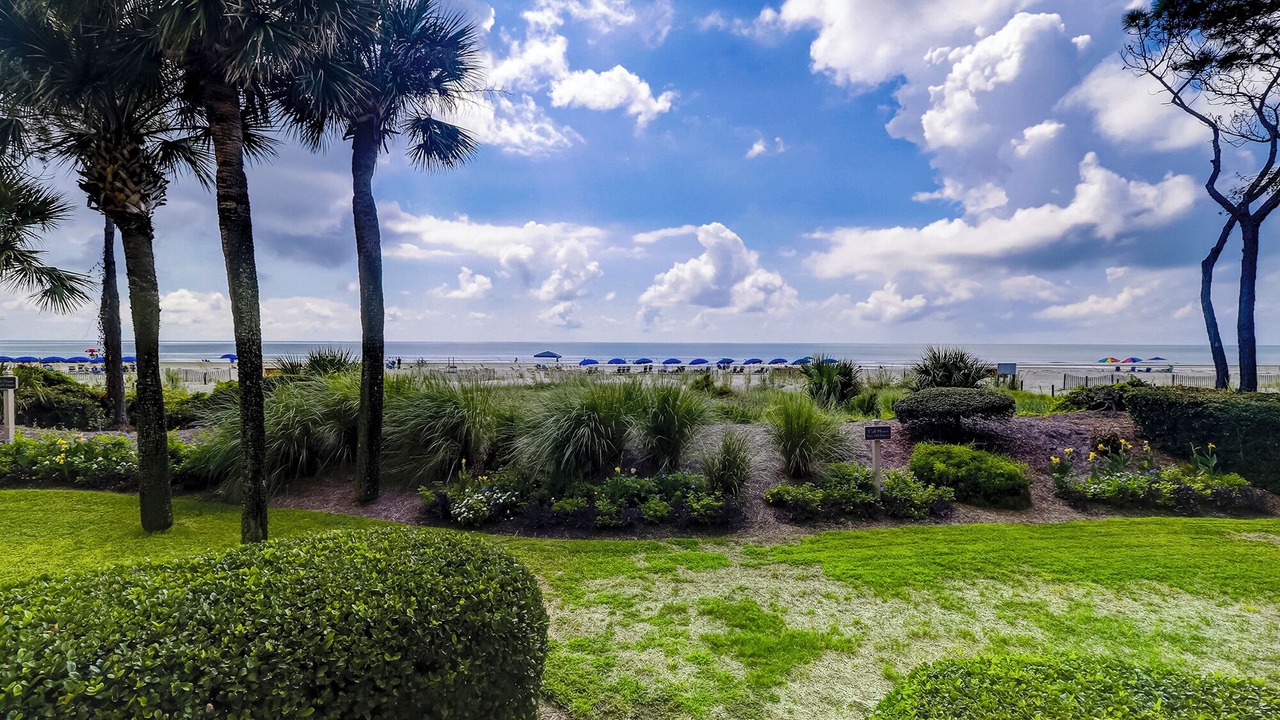 Photo of Outdoor in Beach Lagoon