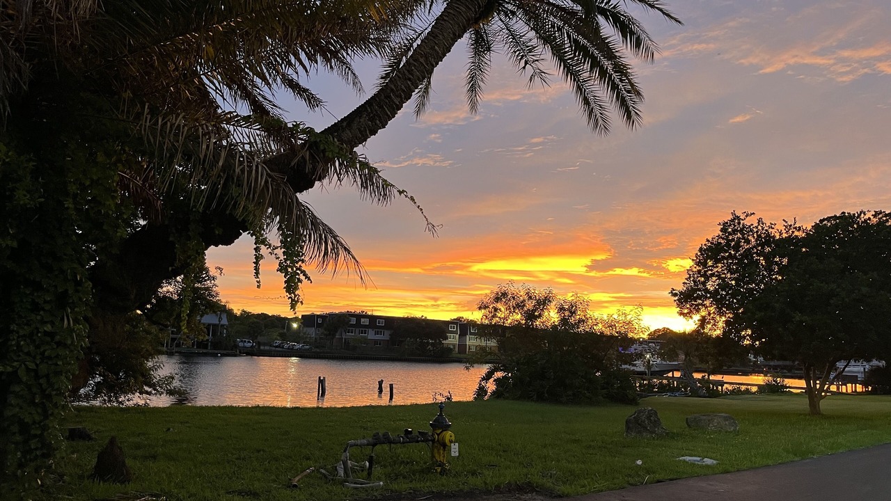 Photo of Outdoor in Tampa Heights