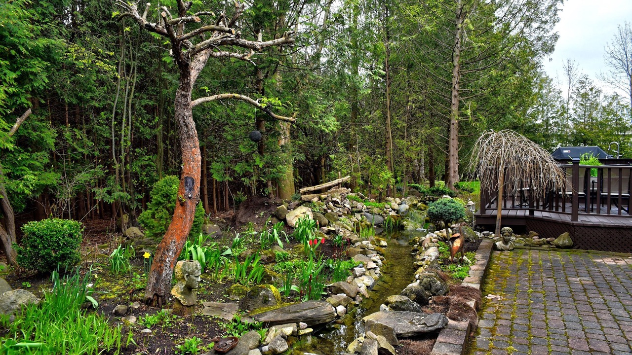 Photo of Outdoor in Collingwood