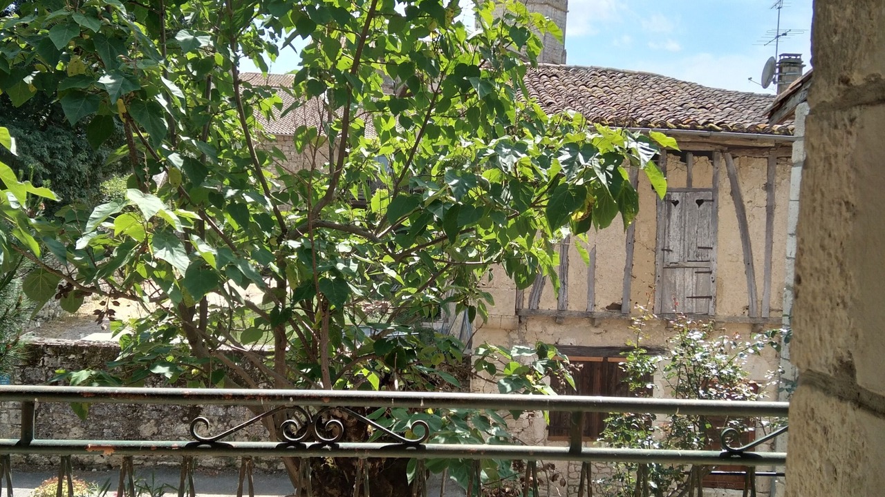 Photo of Outdoor in Monfort