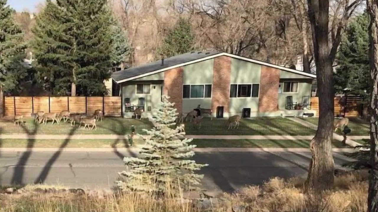 Photo of Others in Pleasant Valley
