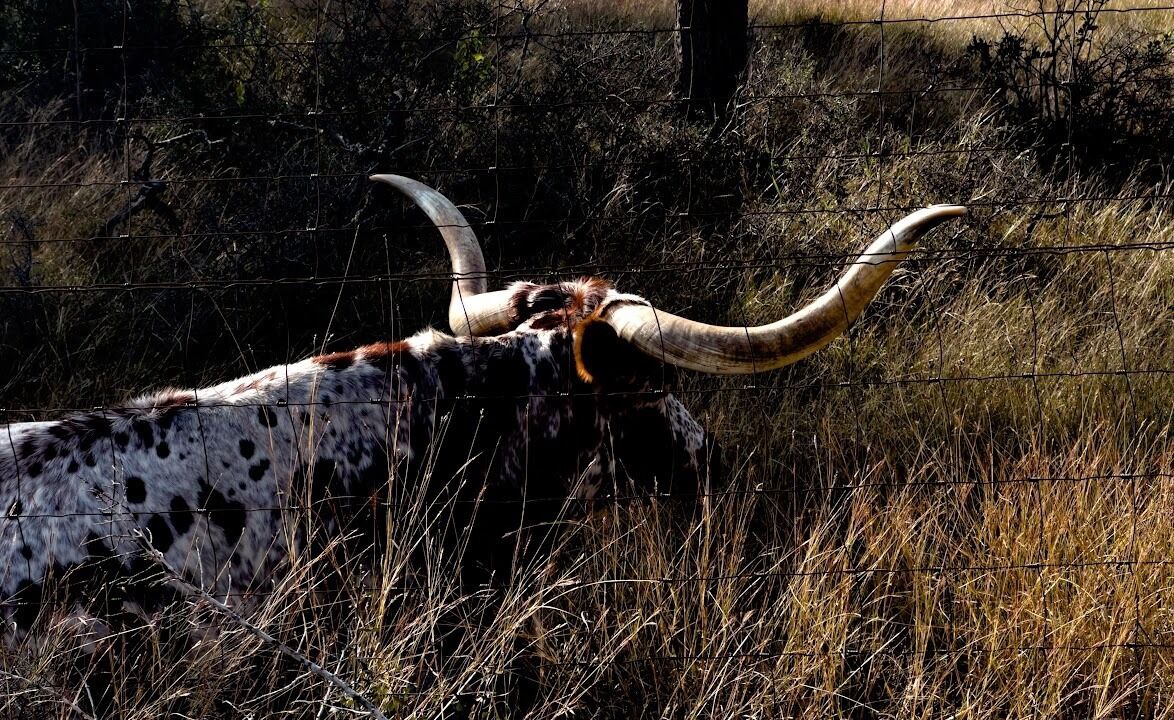Photo of Others in Tarpley
