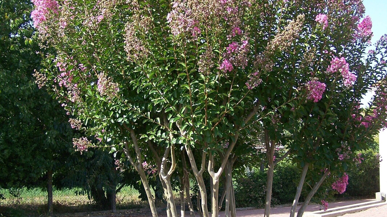 Photo of Outdoor in Saint-Julien-de-Concelles