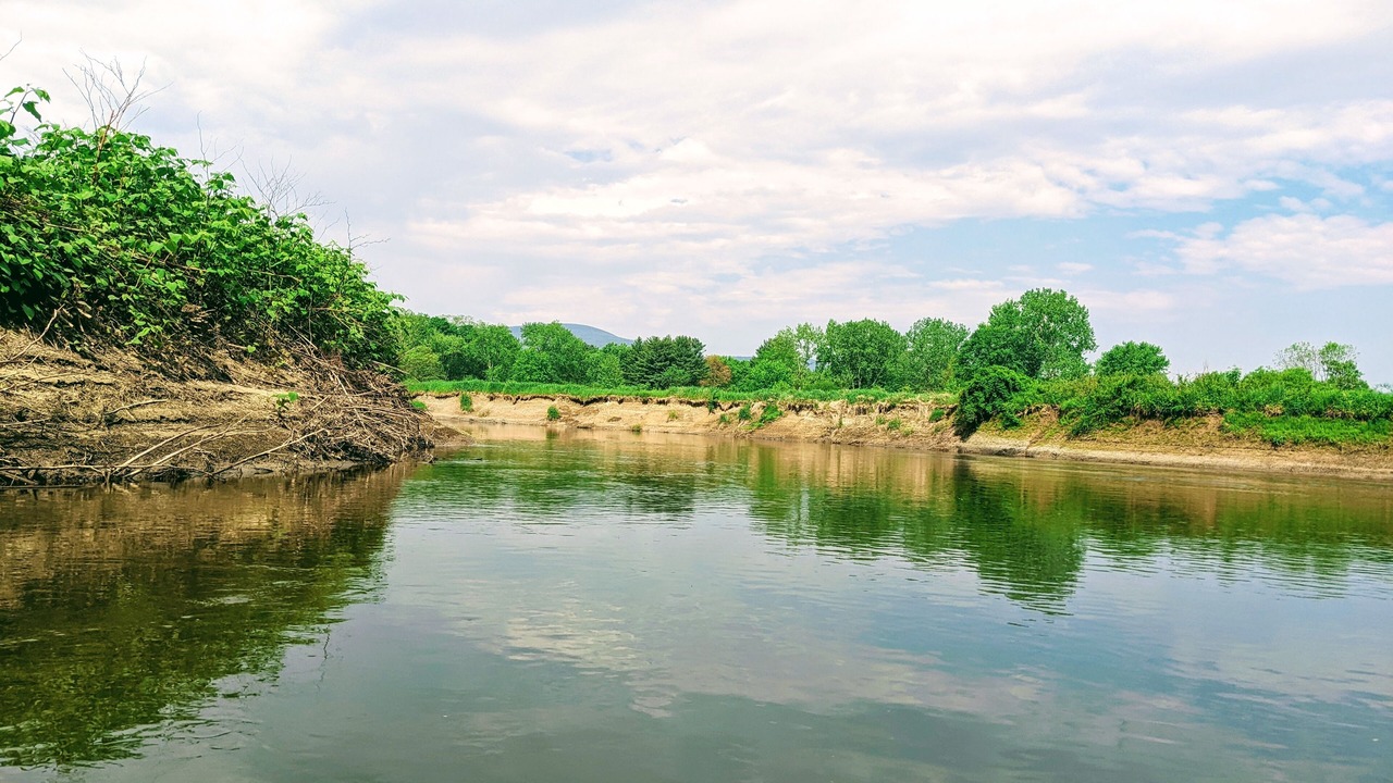 Photo of Others in Sheffield