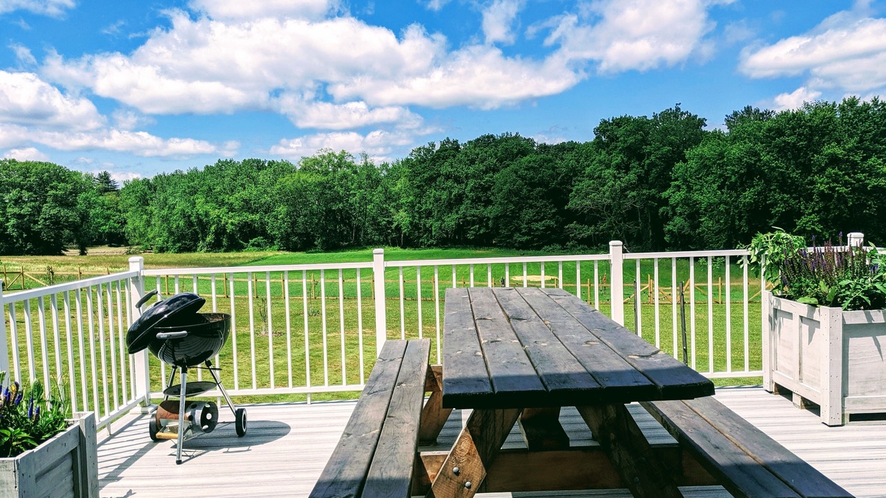 Photo of Others in Sheffield