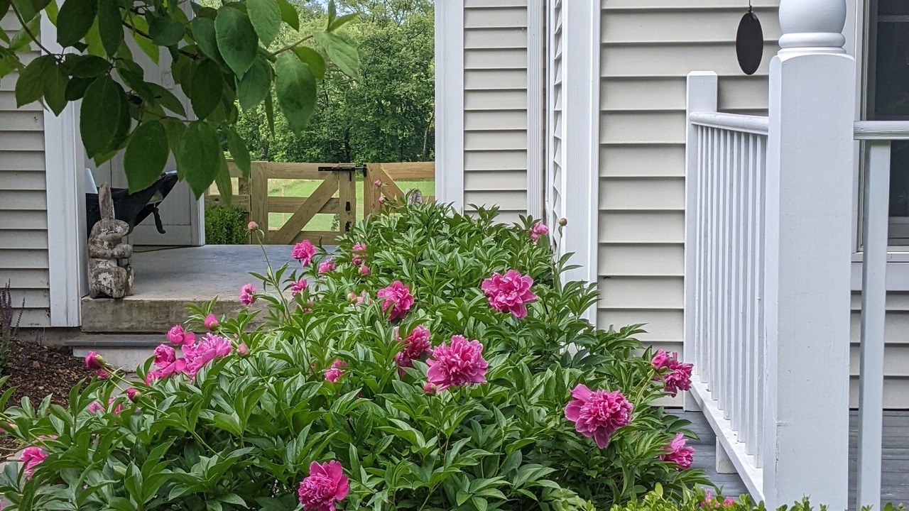 Photo of Outdoor in Sheffield