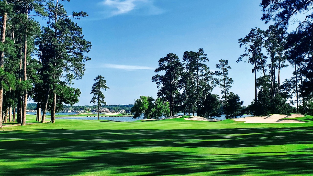 Photo of Others in Walden on Lake Conroe