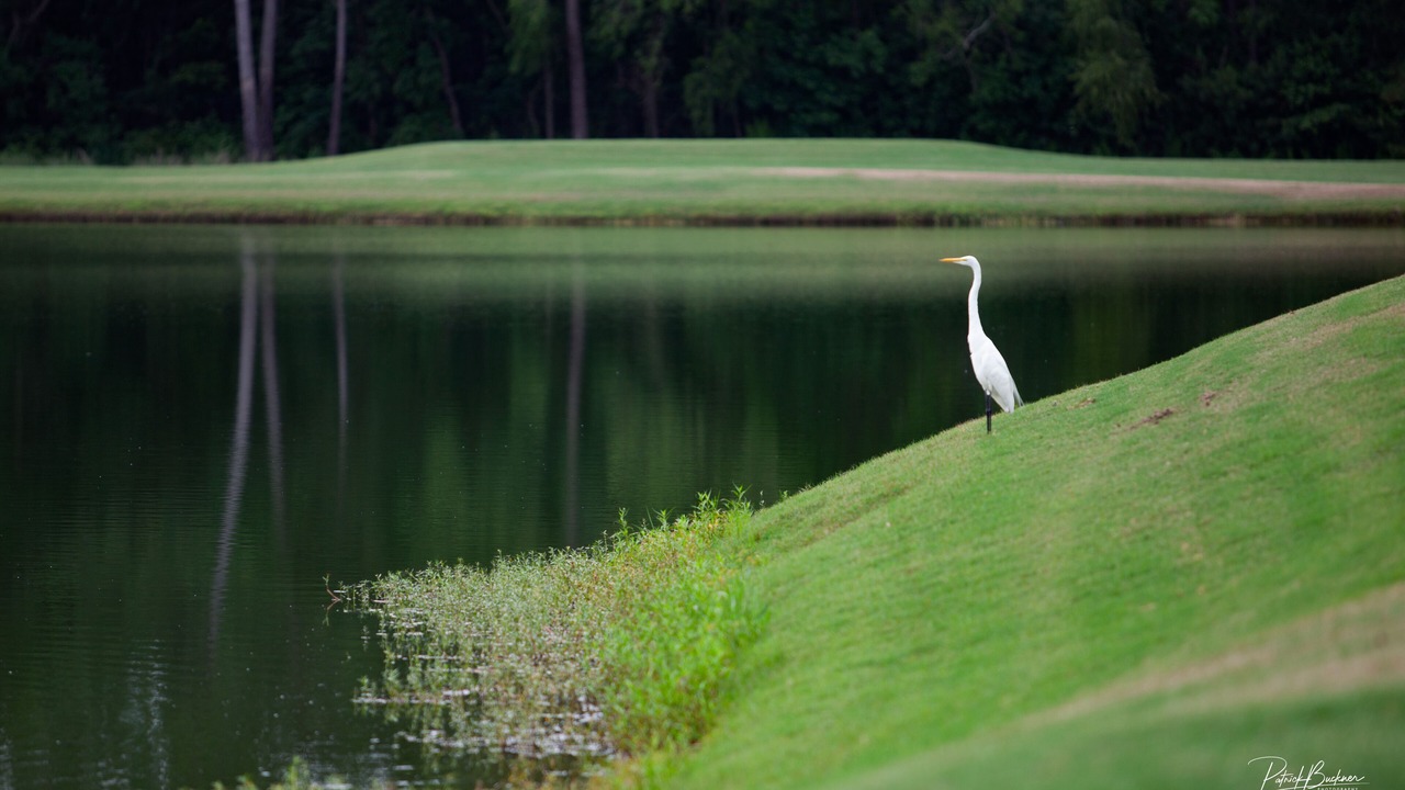 Photo of Others in Walden on Lake Conroe