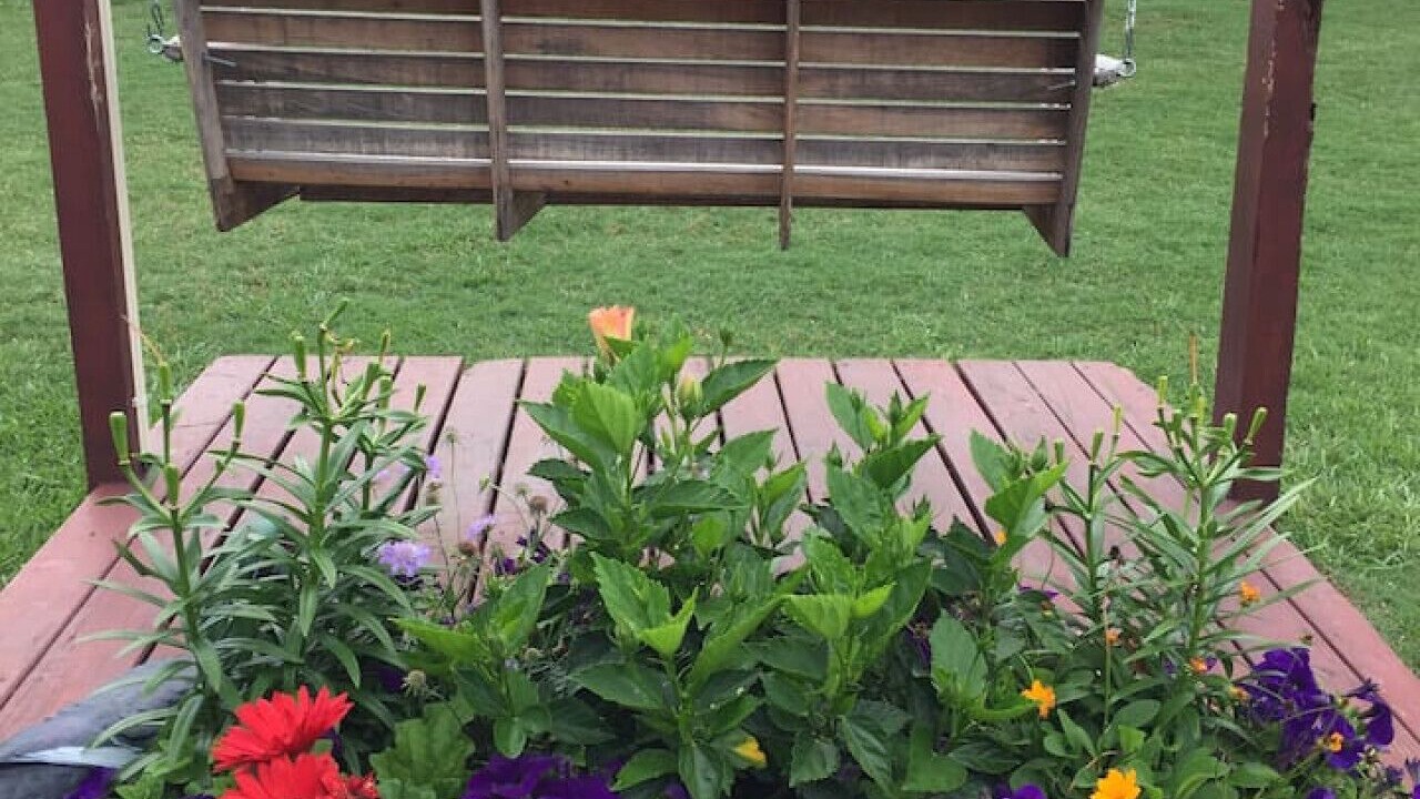 Photo of Outdoor in Pine Mountain