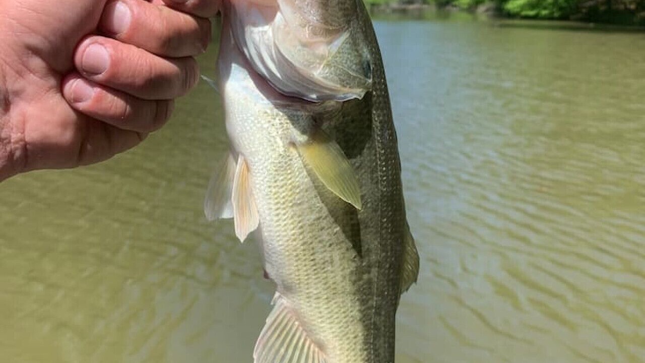 Photo of Others in Pine Mountain