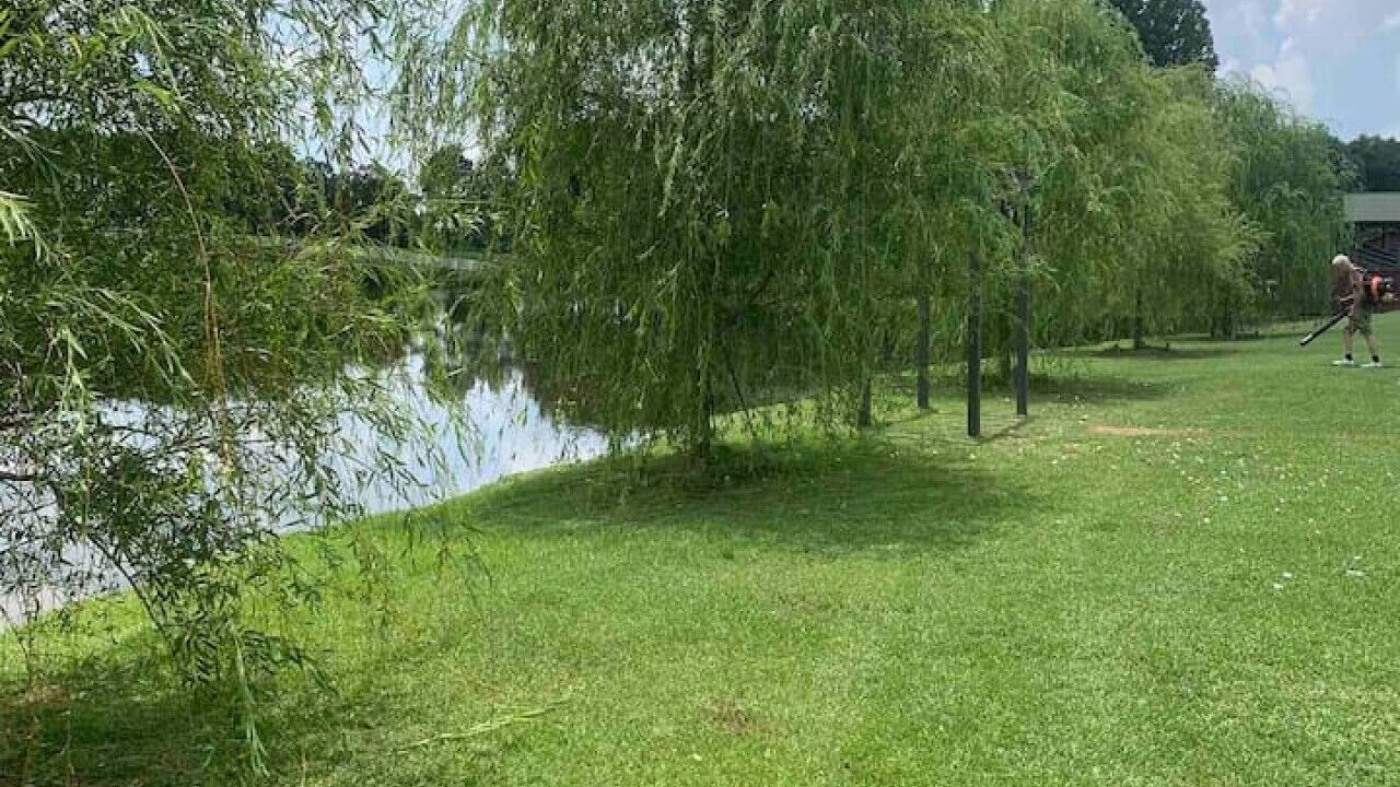 Photo of Others in Pine Mountain