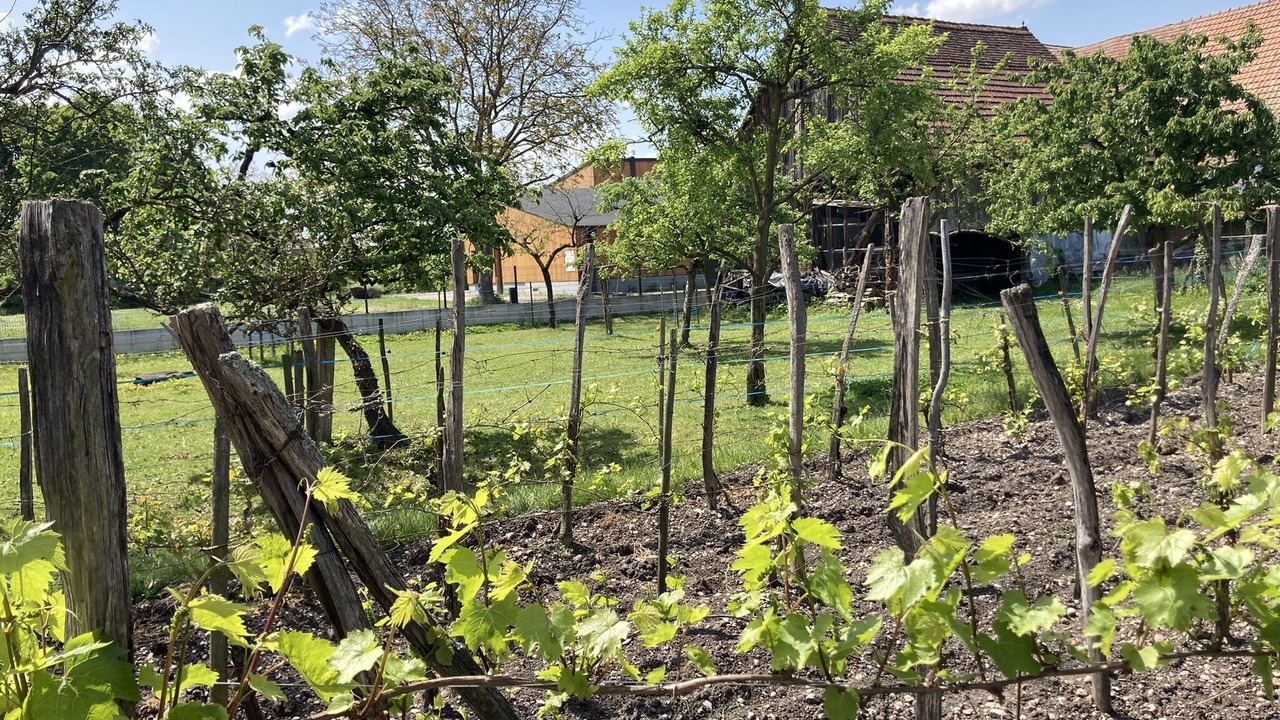 Photo of Outdoor in Muttersholtz