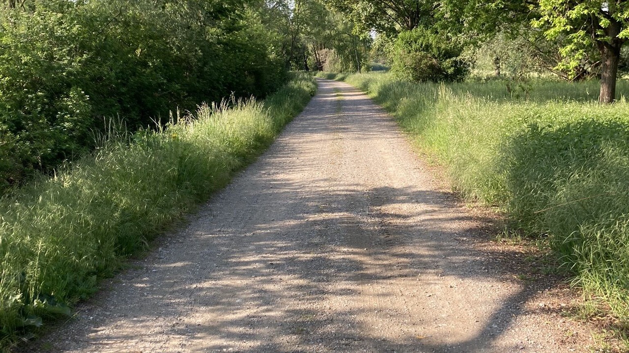 Photo of Outdoor in Muttersholtz