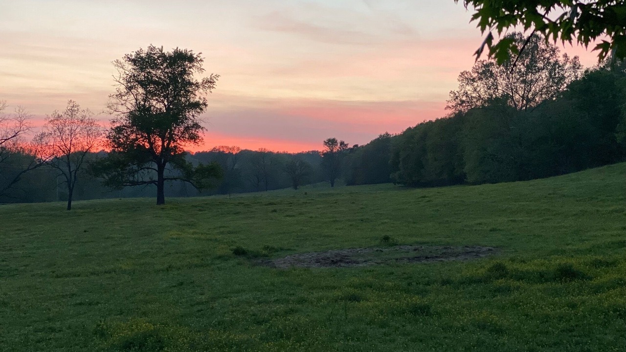 Photo of Outdoor in West Siloam Springs