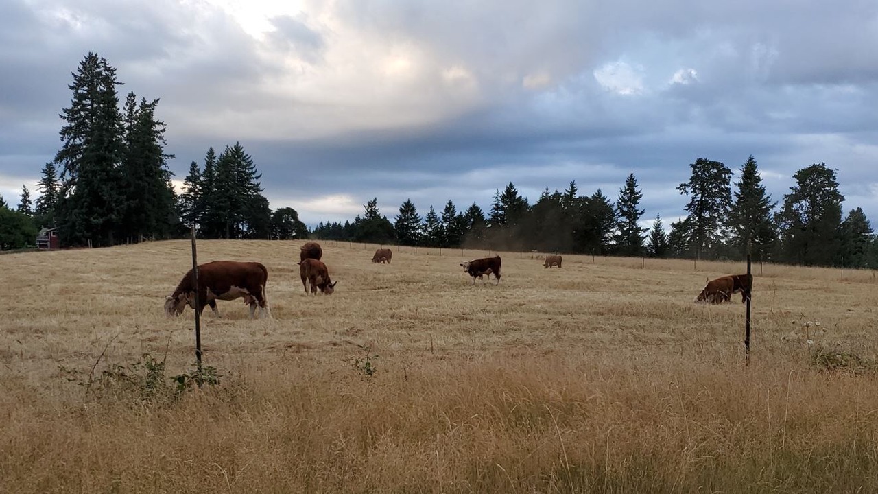 Photo of Others in Ladd Hill