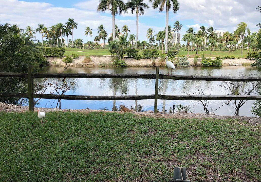 Photo of Outdoor in Aventura