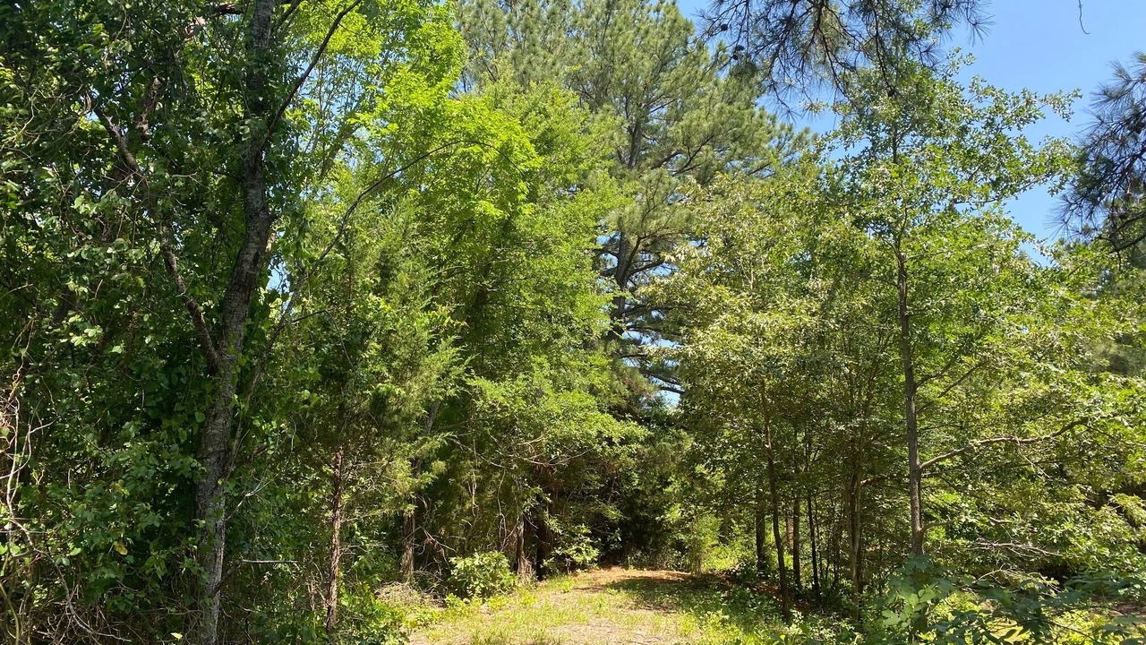 Photo of Outdoor in Canton