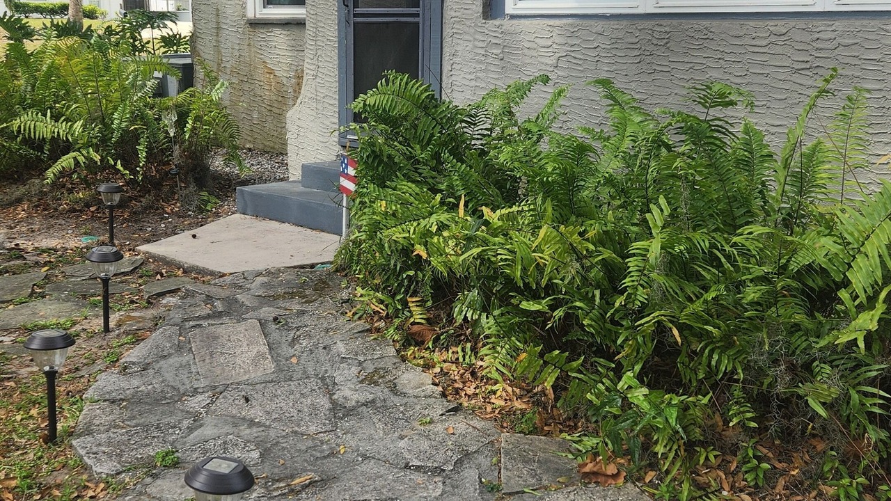 Photo of Outdoor in Mount Dora