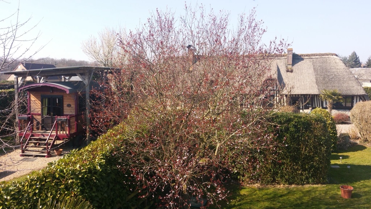 Photo of Outdoor in Fatouville-Grestain