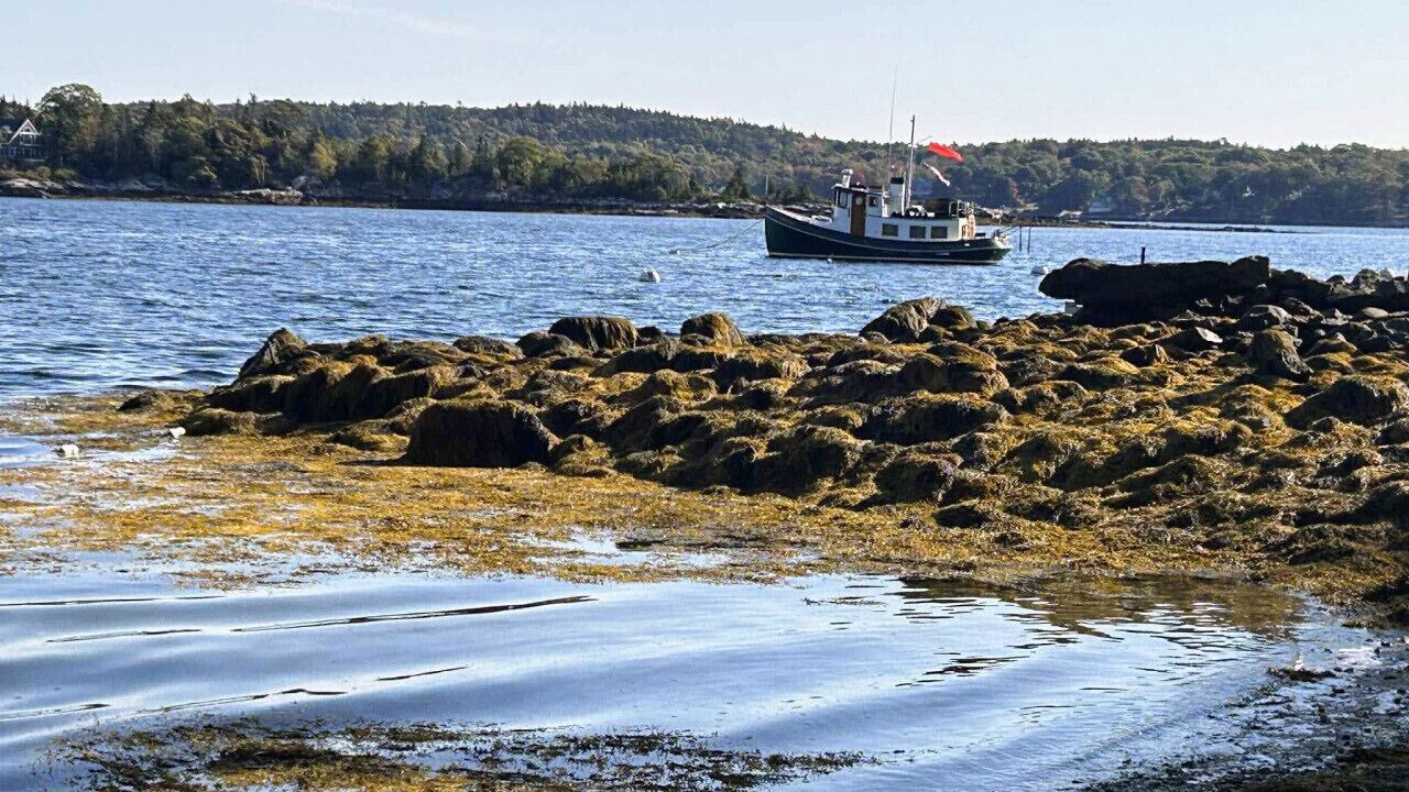 Photo of Others in Boothbay Harbor