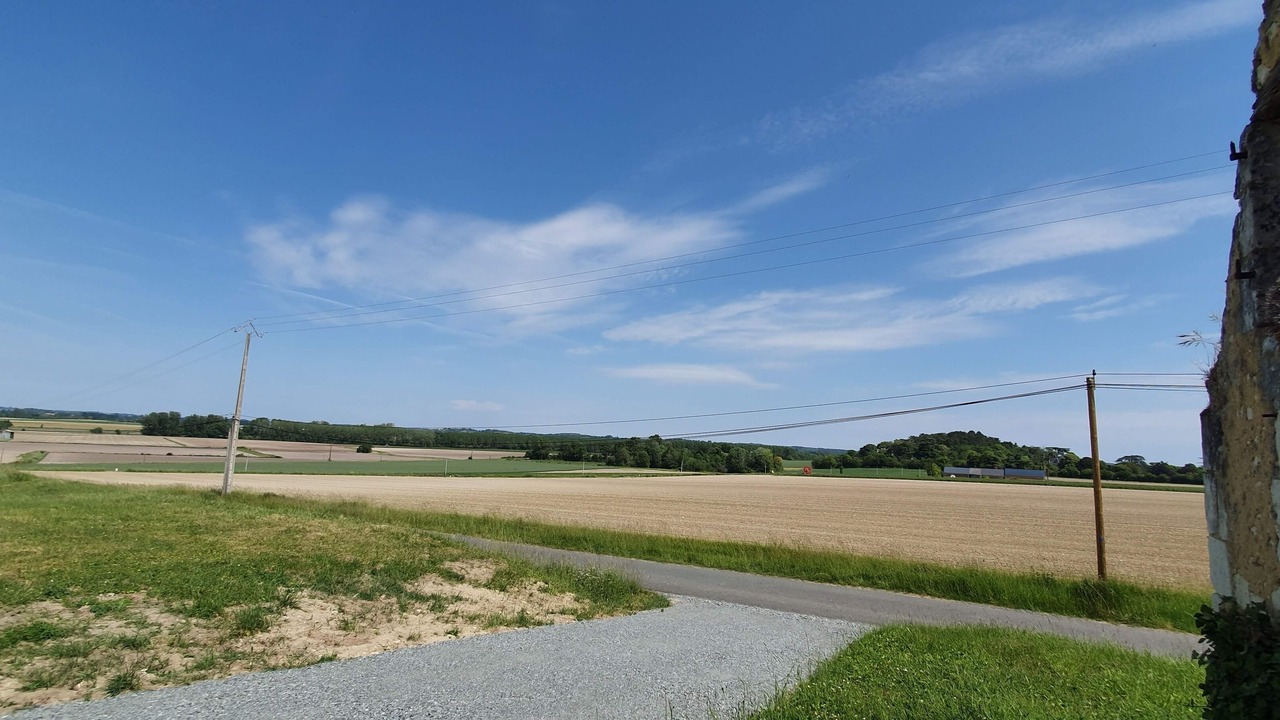 Photo of Others in Les Bois d'Anjou