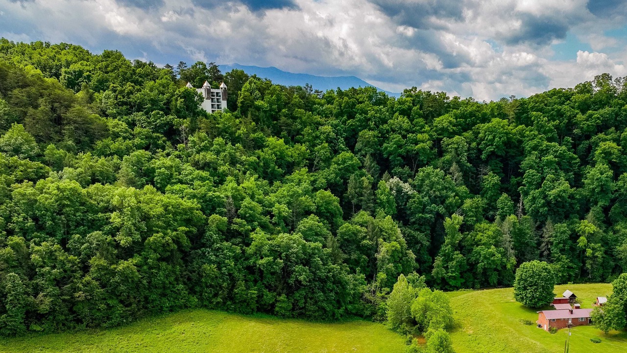 Photo of Outdoor in Caton