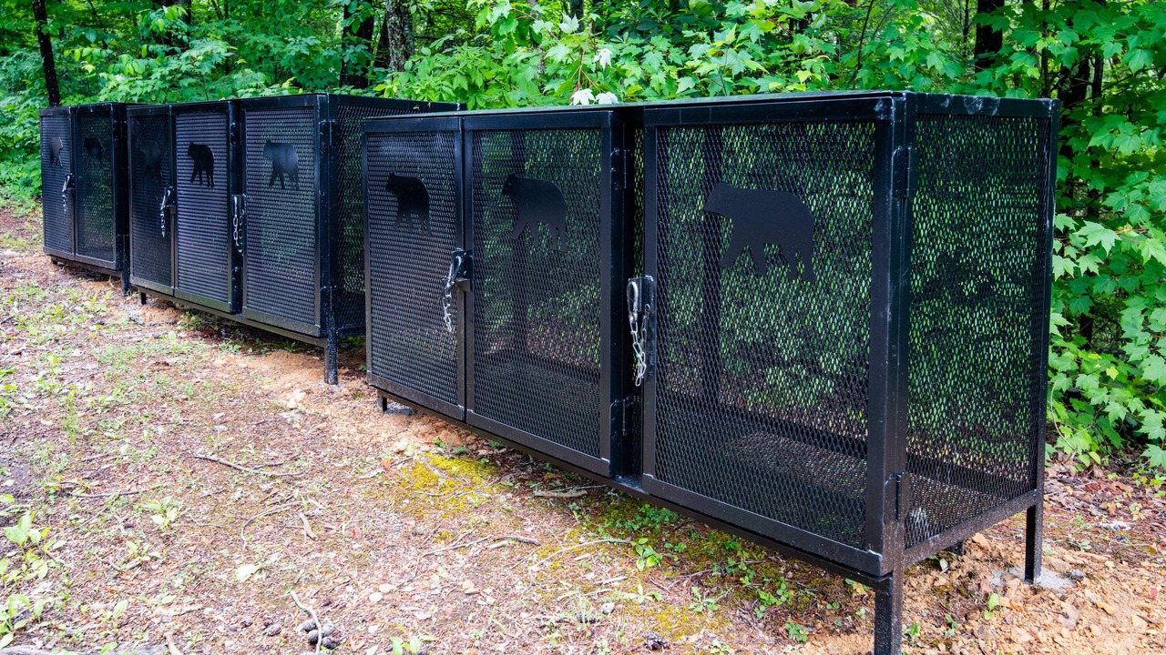 Photo of Outdoor in Caton