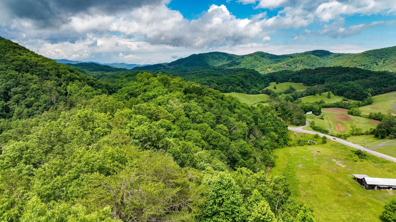 Photo of Outdoor in Caton