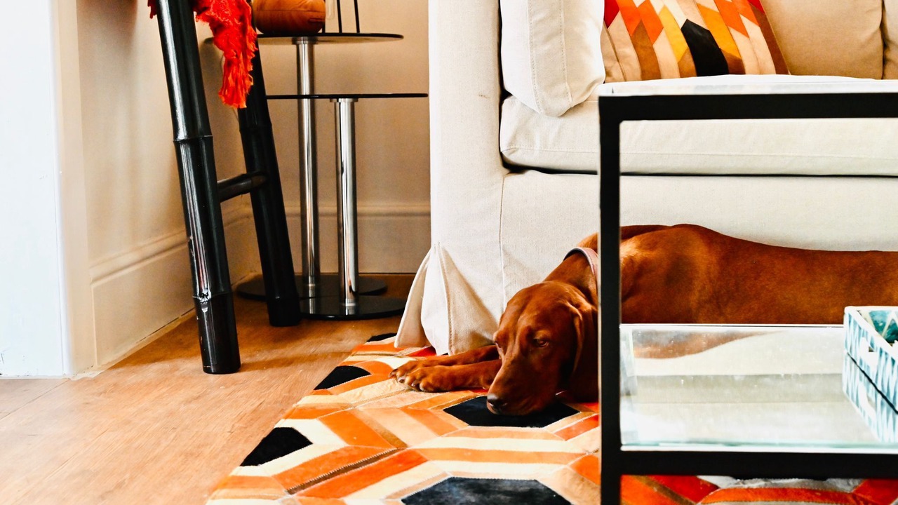 Photo of Livingroom in Llannon