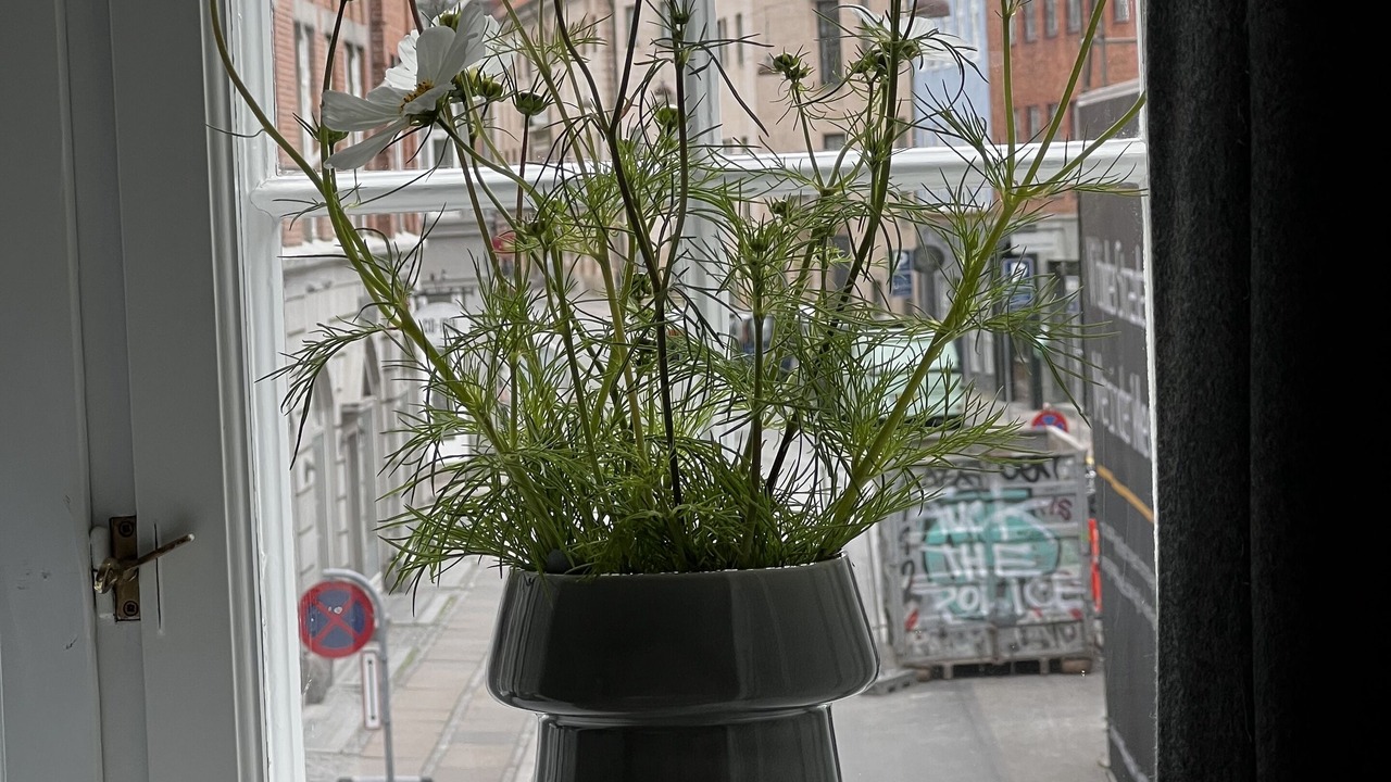 Photo of Others in Copenhagen City Centre