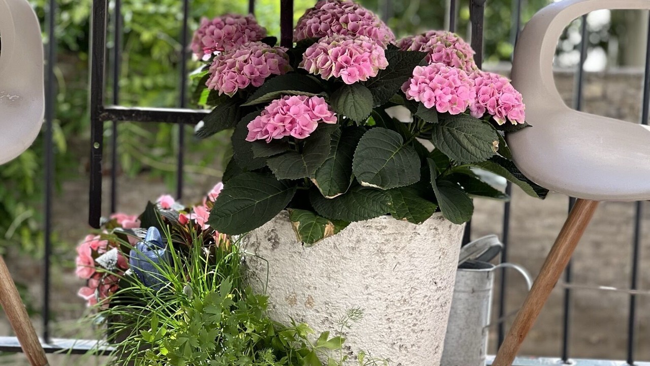 Photo of Outdoor in Copenhagen City Centre