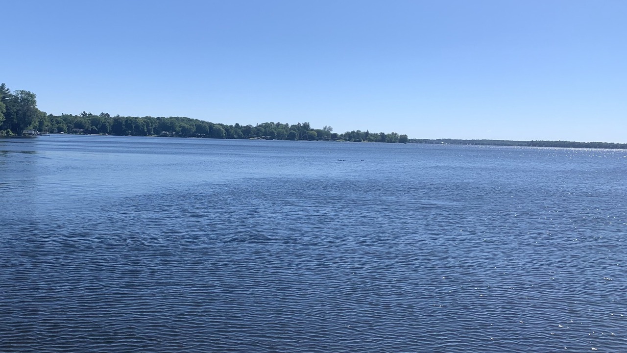 Photo of Others in Fenelon Falls