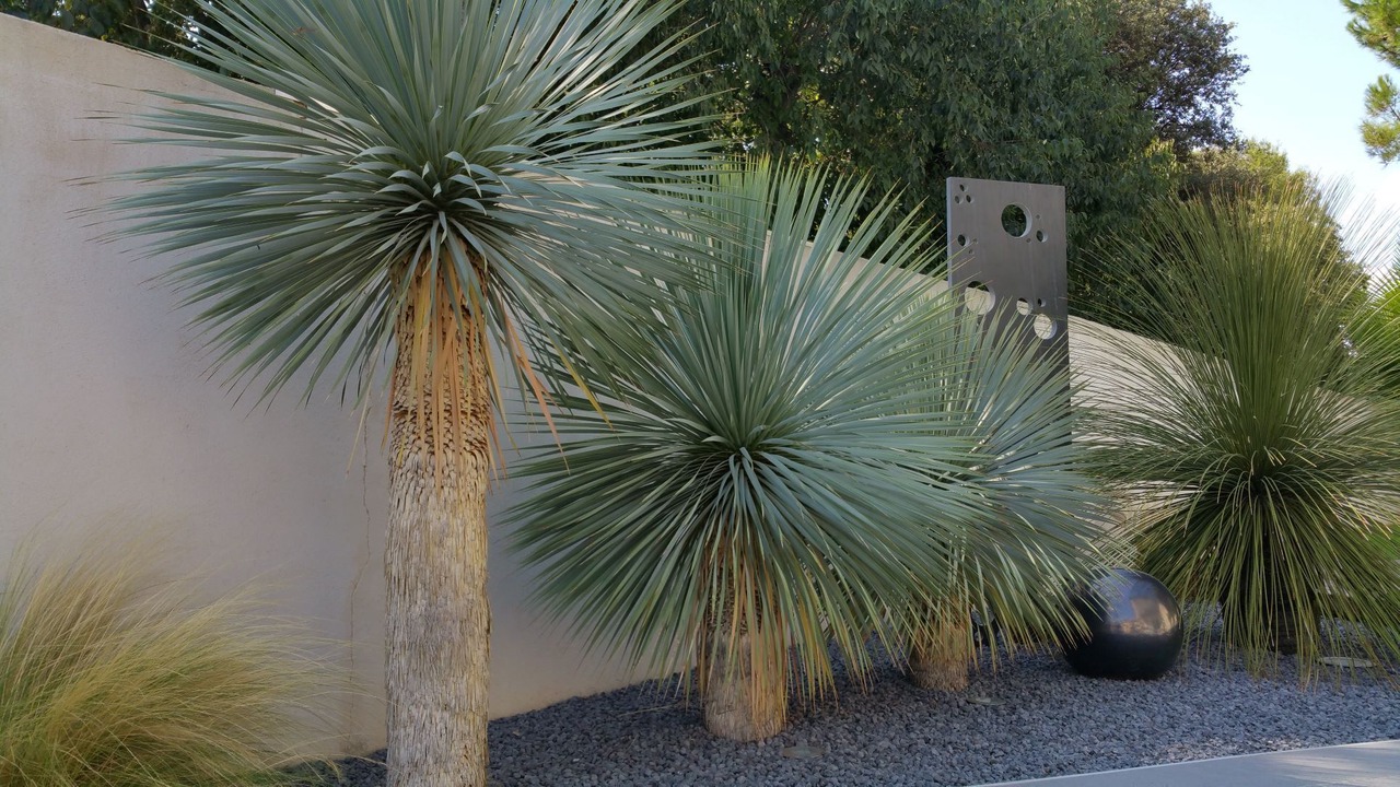 Photo of Outdoor in Verargues