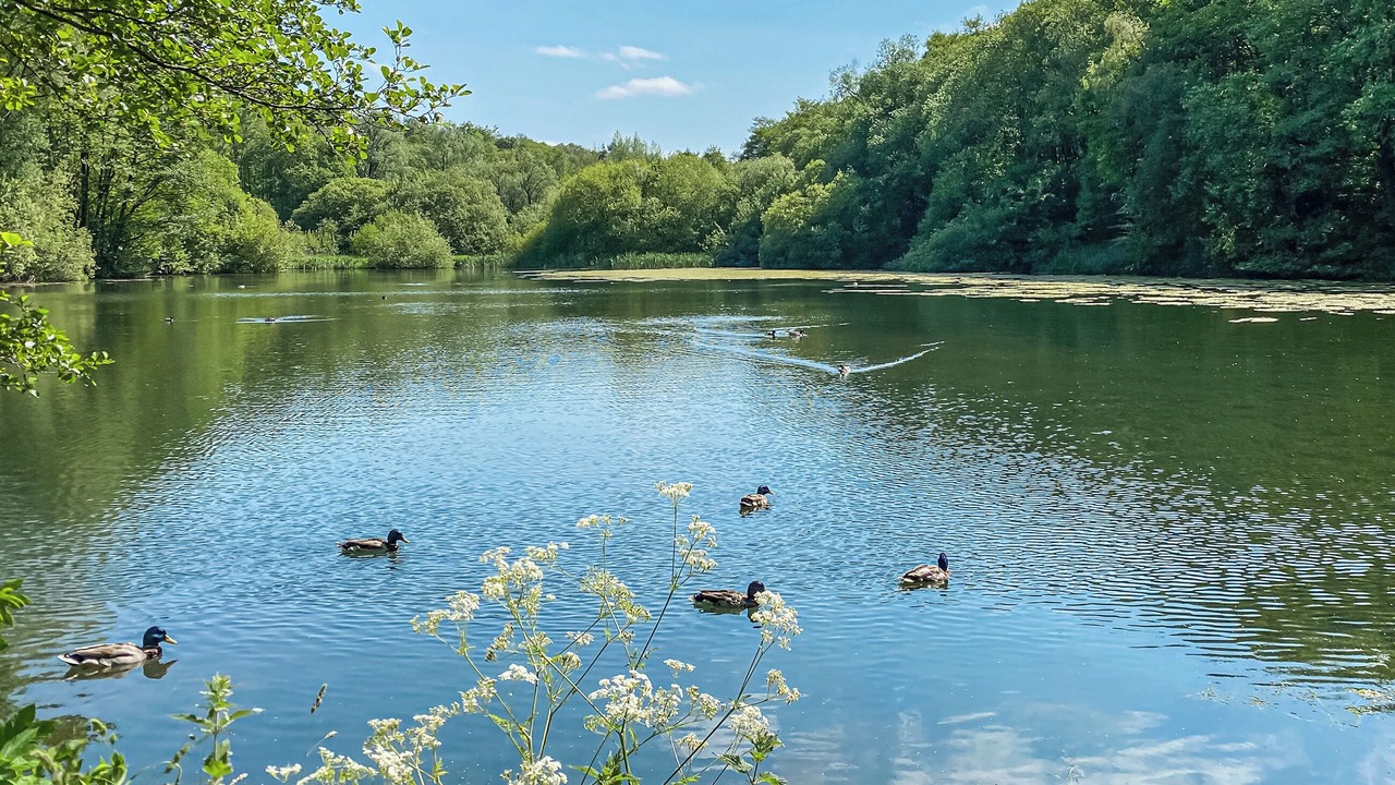 Photo of Others in Stoke-on-Trent